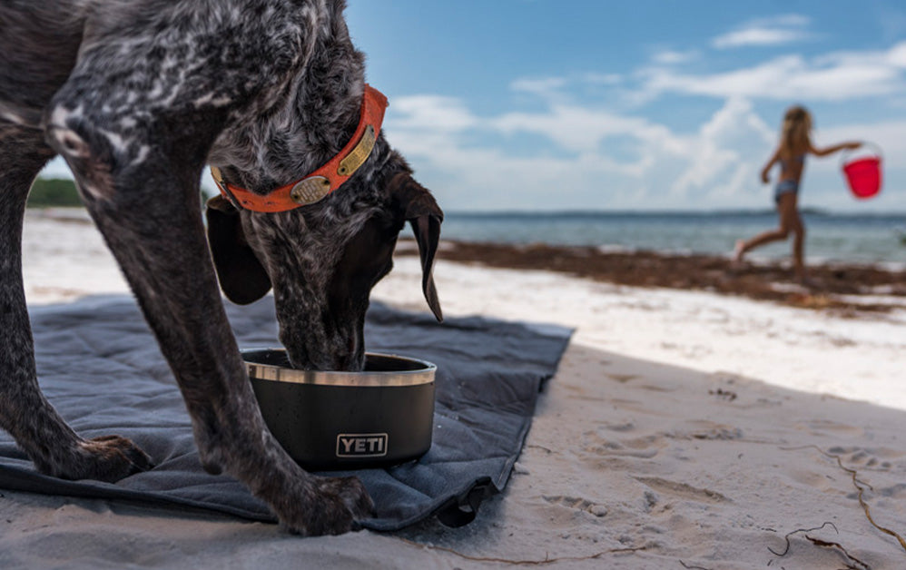 Unleash the Adventure: YETI Products for Dogs – Stones Boatyard