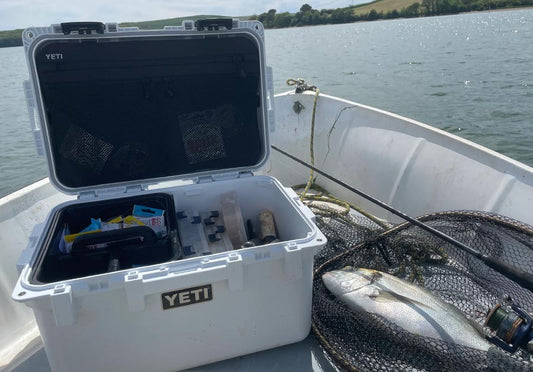 Discover Which YETI LoadOut GoBox is Best for You