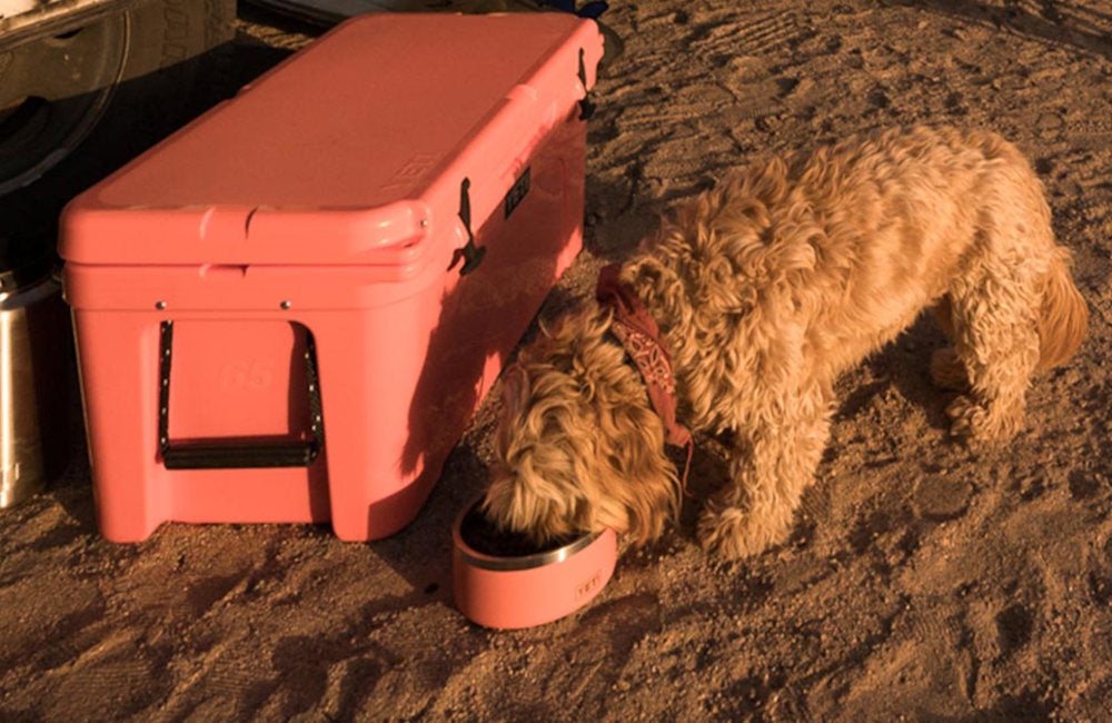 Pimp Out Your Yeti Cooler: Must Have Accessories 