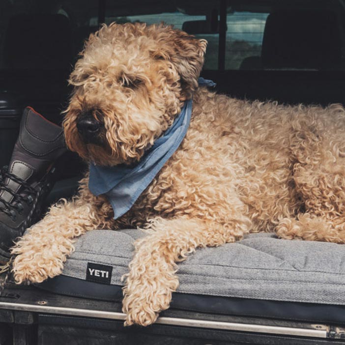 YETI Trailhead Dog Bed