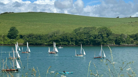 Protecting Salcombe’s Coastal Beauty