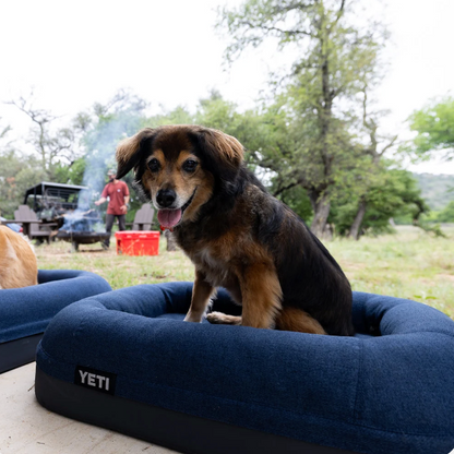 YETI Boomer Small Dog Bed