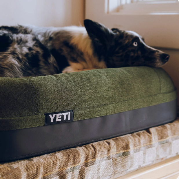 YETI Boomer Large Dog Bed
