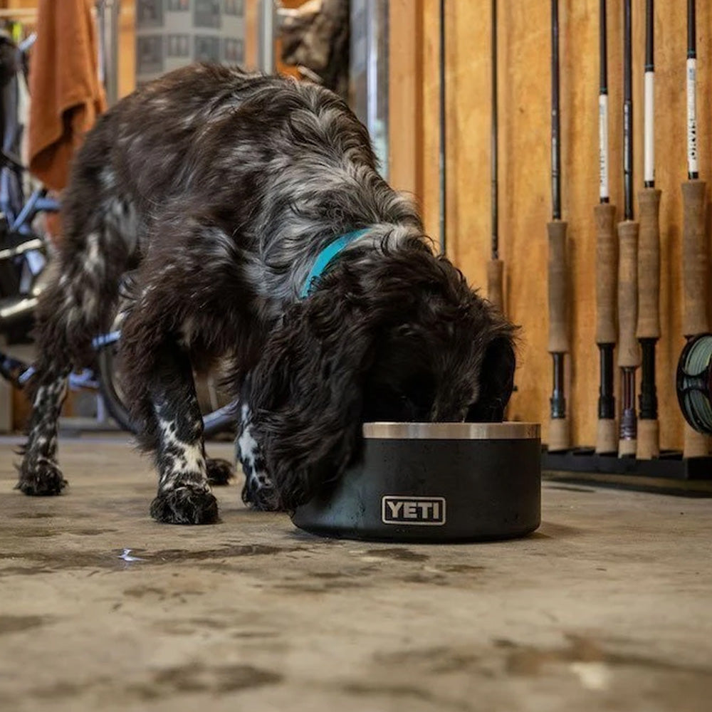 YETI Boomer 8 Dog Bowl