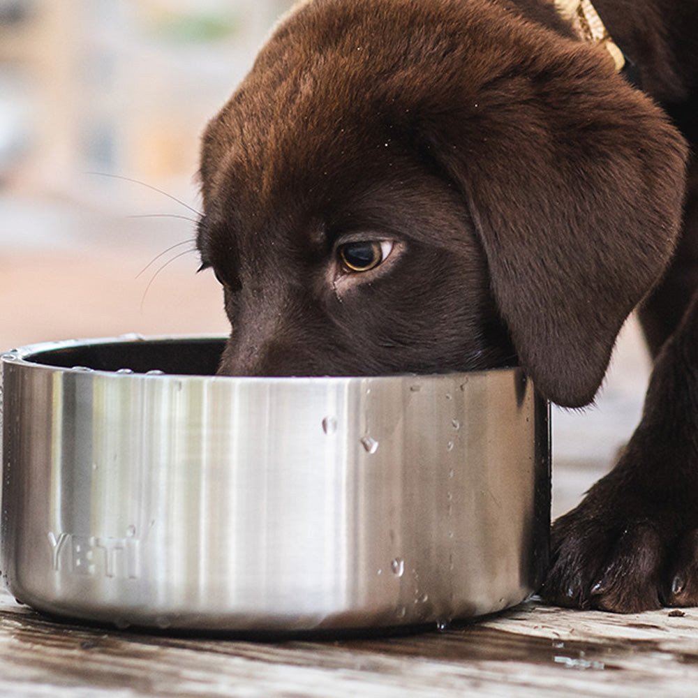 YETI Boomer 8 Dog Bowl