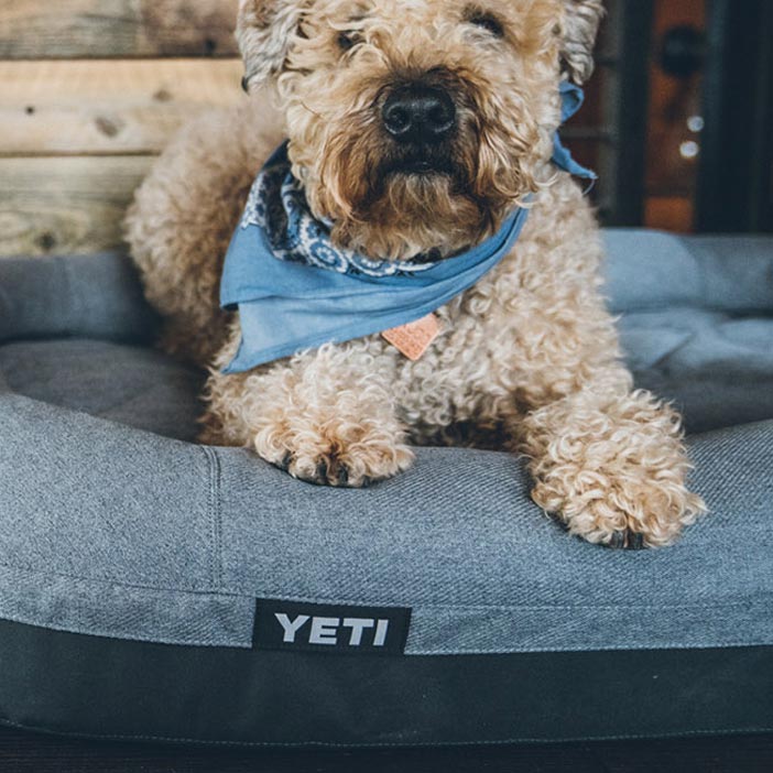 YETI Trailhead Dog Bed