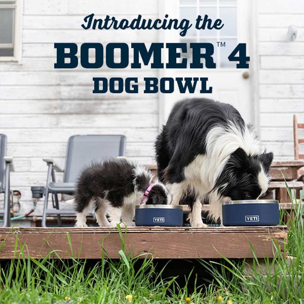 Boomer 4 dog bowl sale